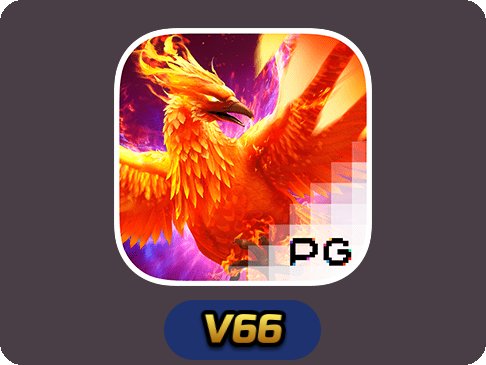 Phoenix Rises